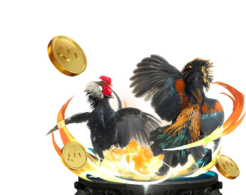 Hướng dẫn tải ứng dụng Đá gà trực tiếp 4K cho Android