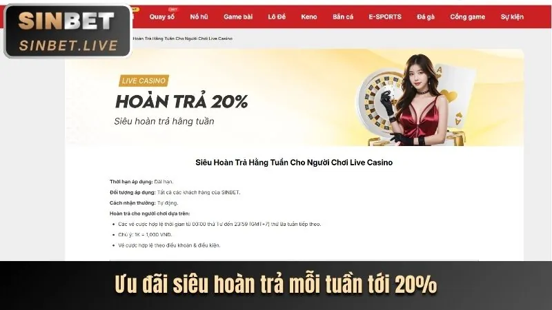 Cá cược thể thao và đá gà trực tiếp 4k